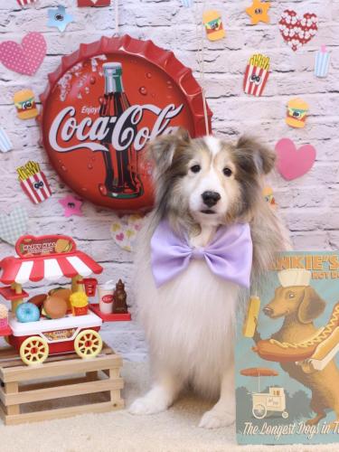 20230901カレンちゃん